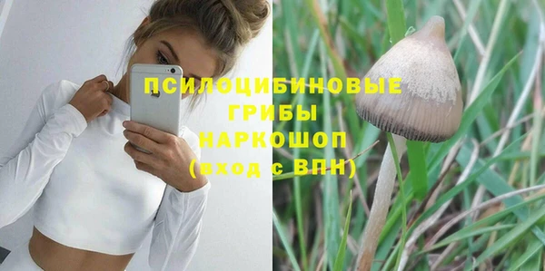 сатива Балабаново