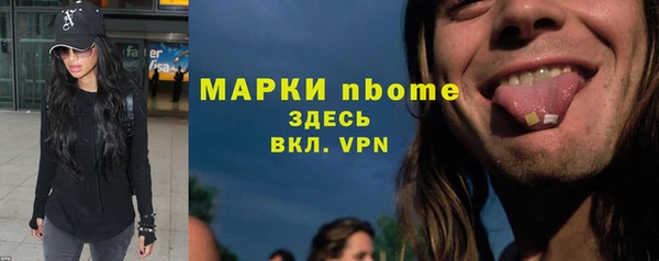 Альфа ПВП Аркадак