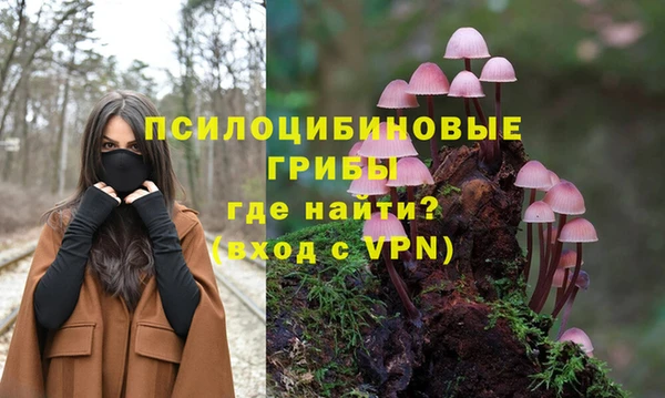 ешки Балахна
