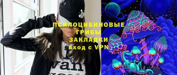 Альфа ПВП Аркадак
